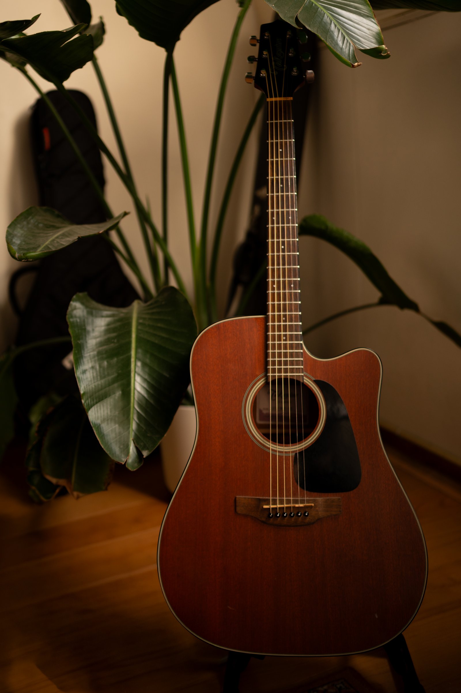 Acoustic guitar